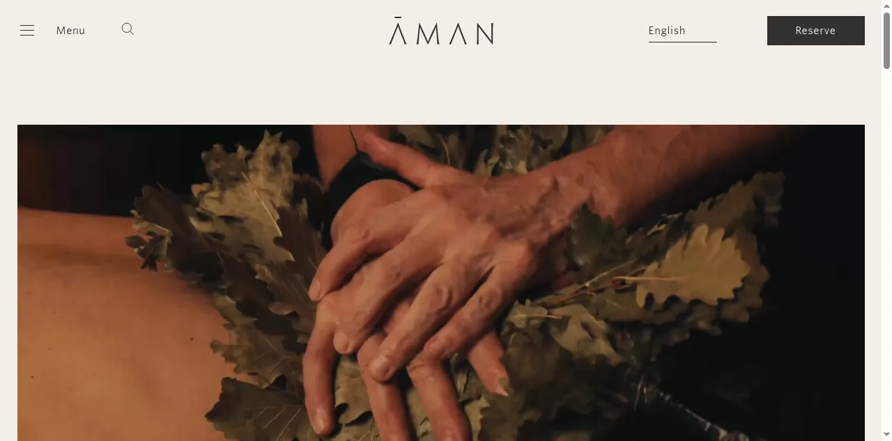 Preview of aman.com