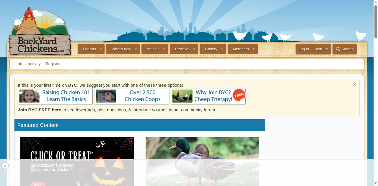Preview of backyardchickens.com