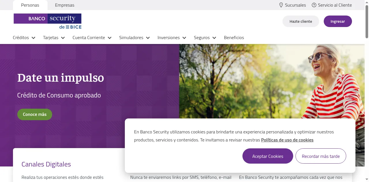 Preview of bancosecurity.cl