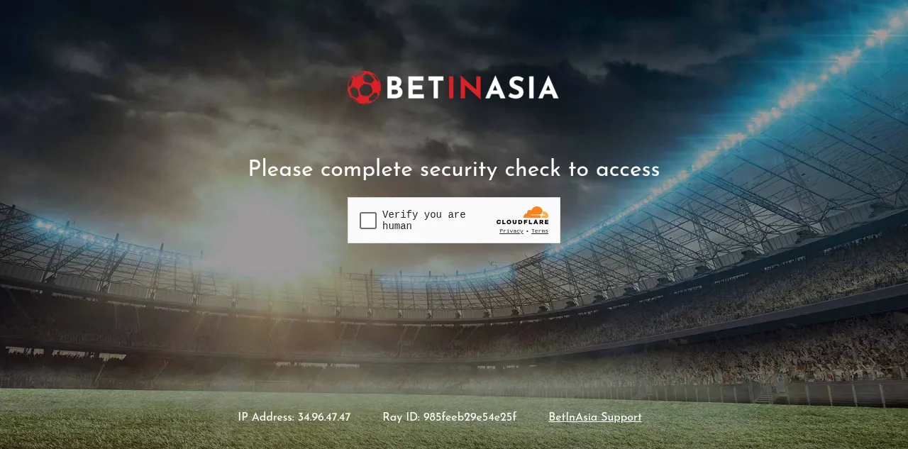 Preview of betinasia.com
