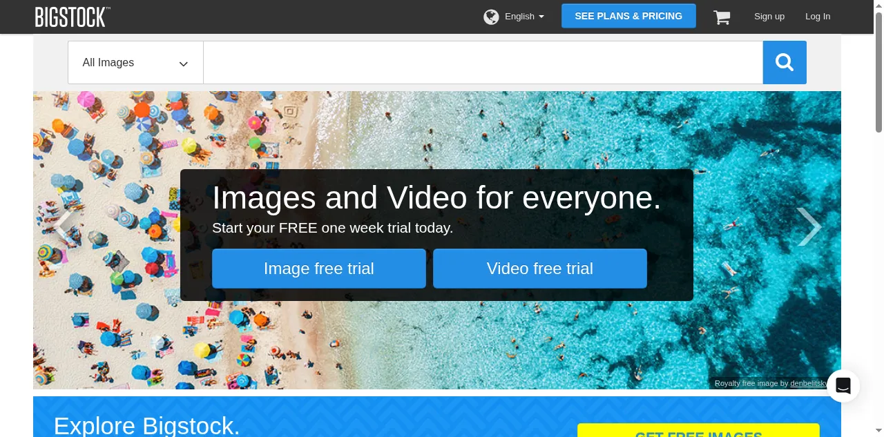 Preview of bigstockphoto.com