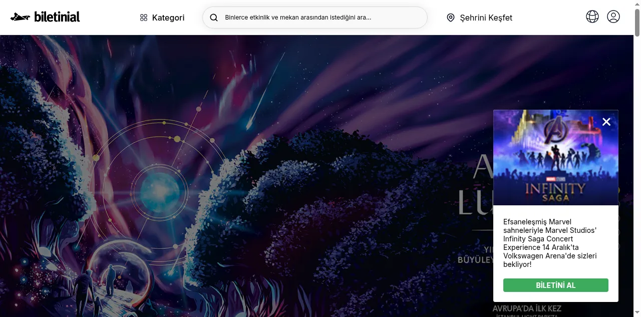 Preview of biletinial.com