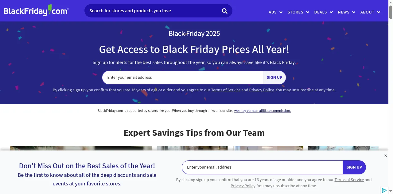 Preview of blackfriday.com