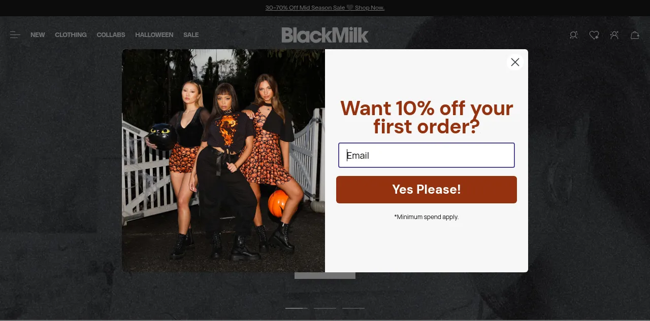 Preview of blackmilkclothing.com