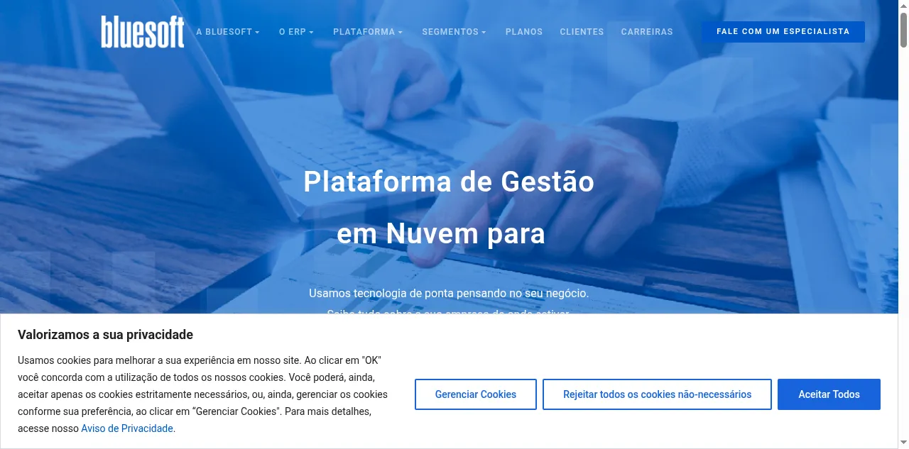 Preview of bluesoft.com.br