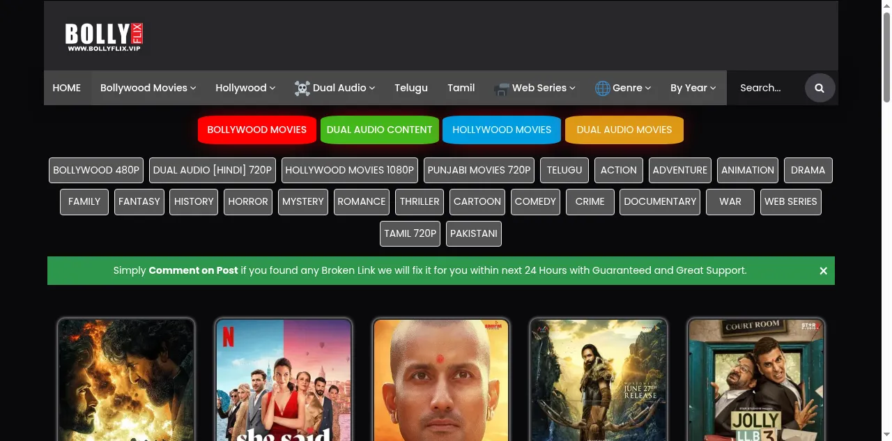 Preview of bollyfliix.net