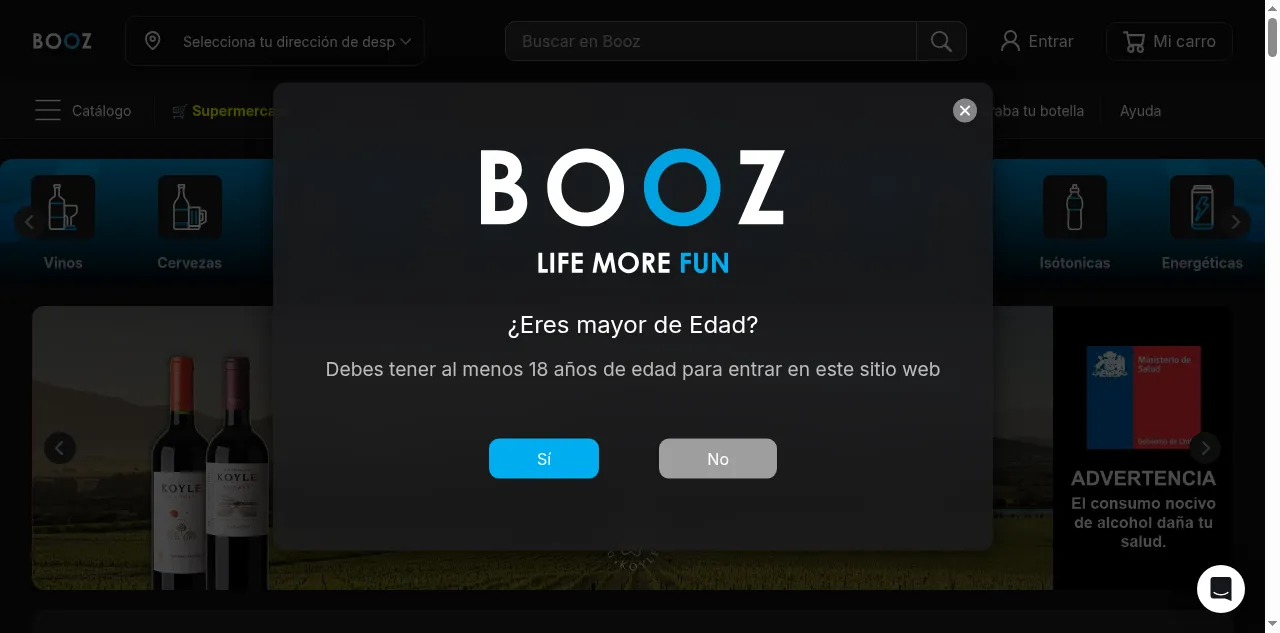 Preview of booz.cl