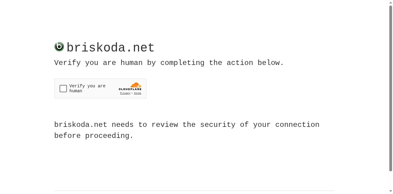 Preview of briskoda.net