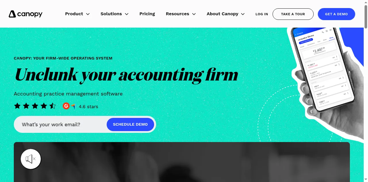 Preview of canopytax.com