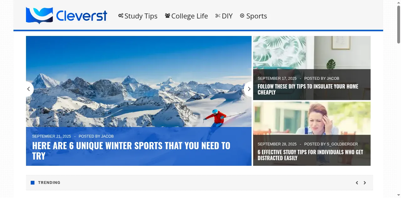 Preview of cleverst.com