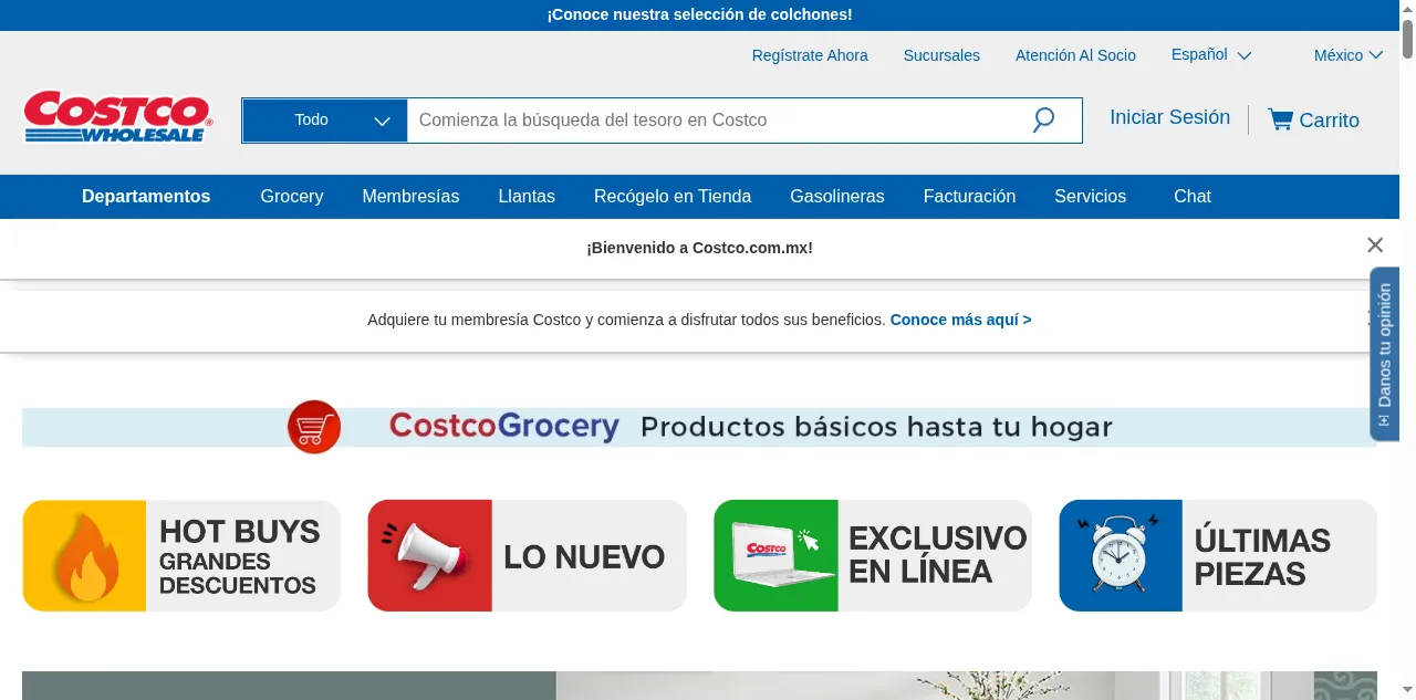 Preview of costco.com.mx