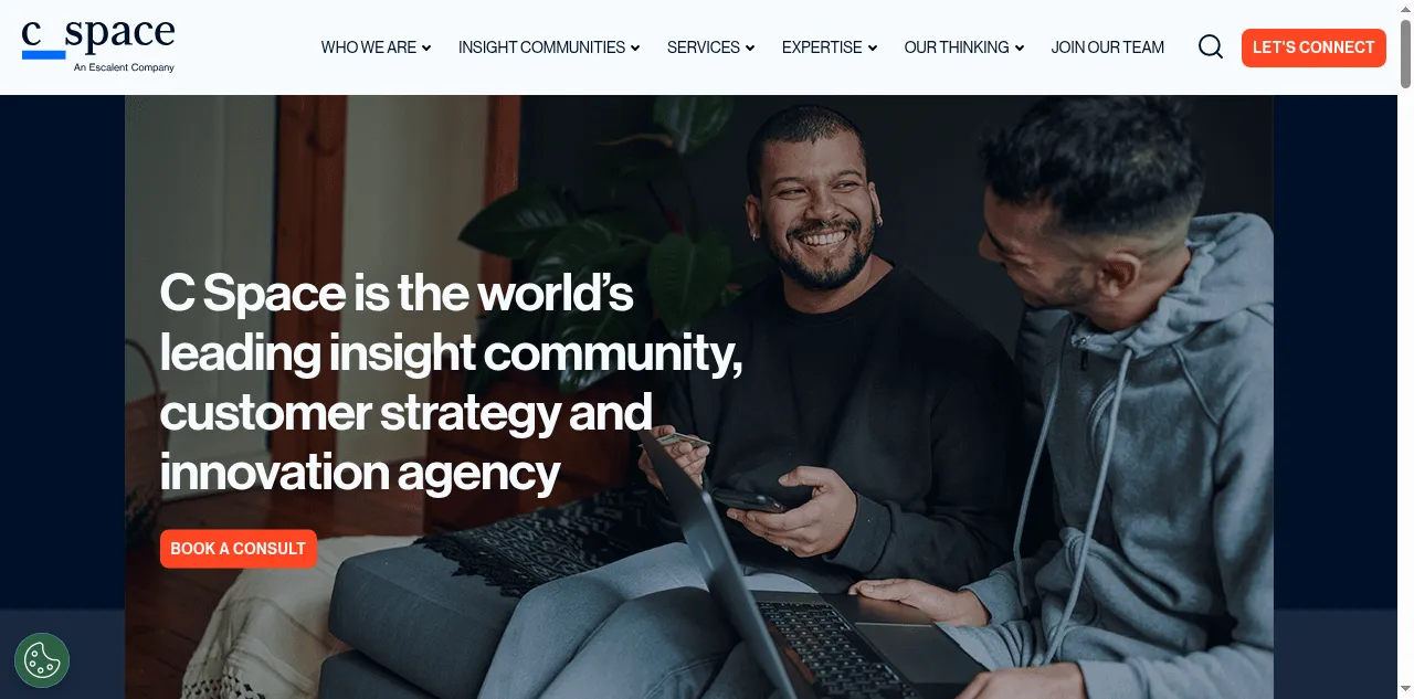 Preview of cspace.com