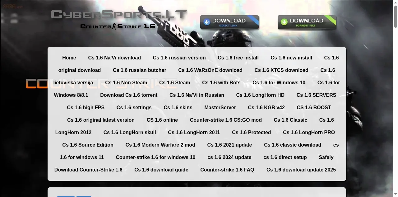 Preview of cybersports.lt