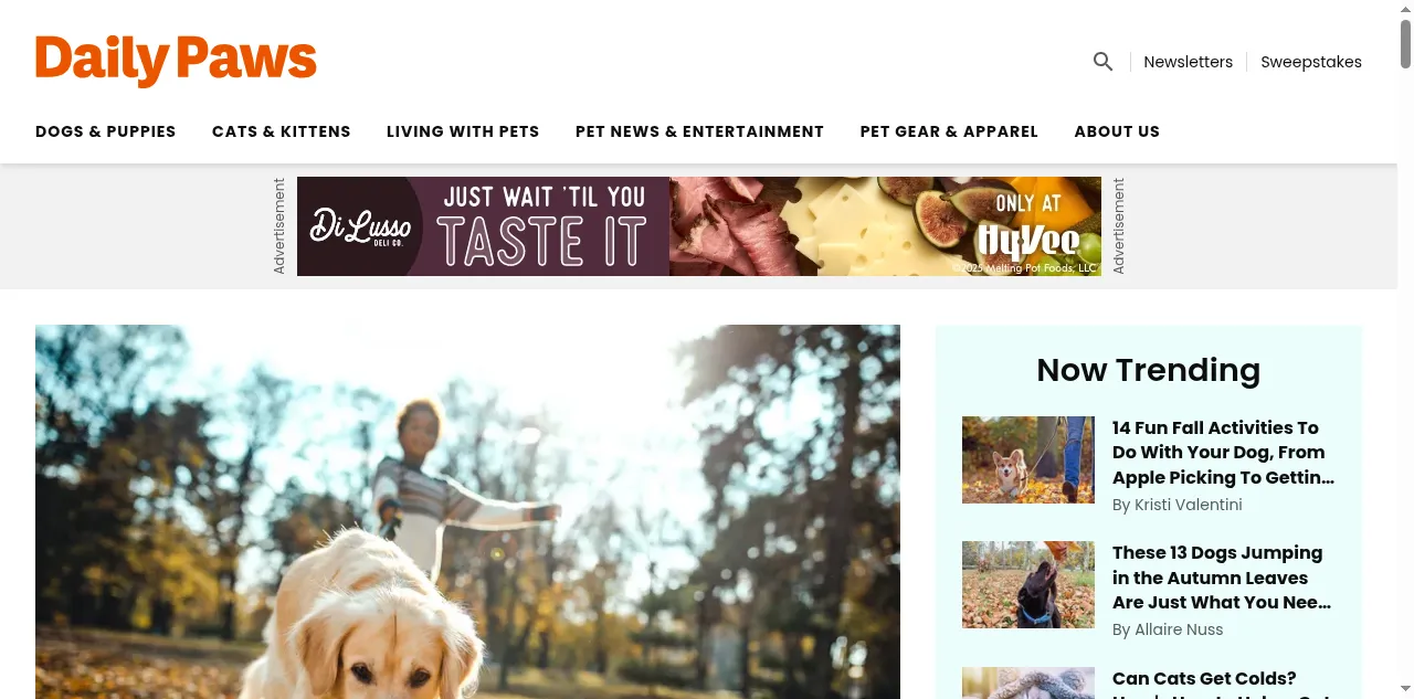 Preview of dailypaws.com