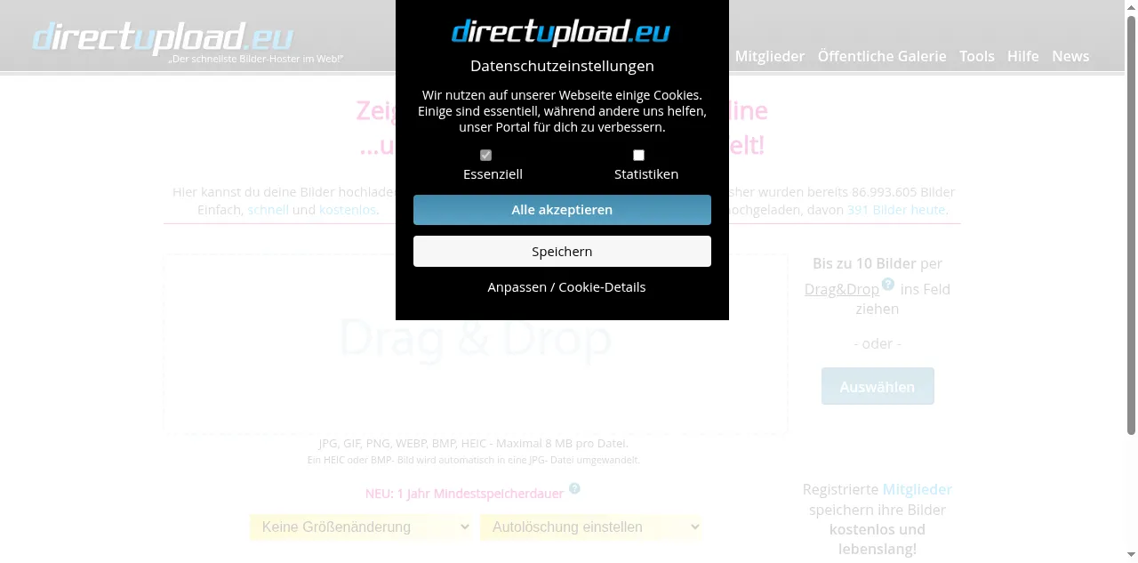 Preview of directupload.eu