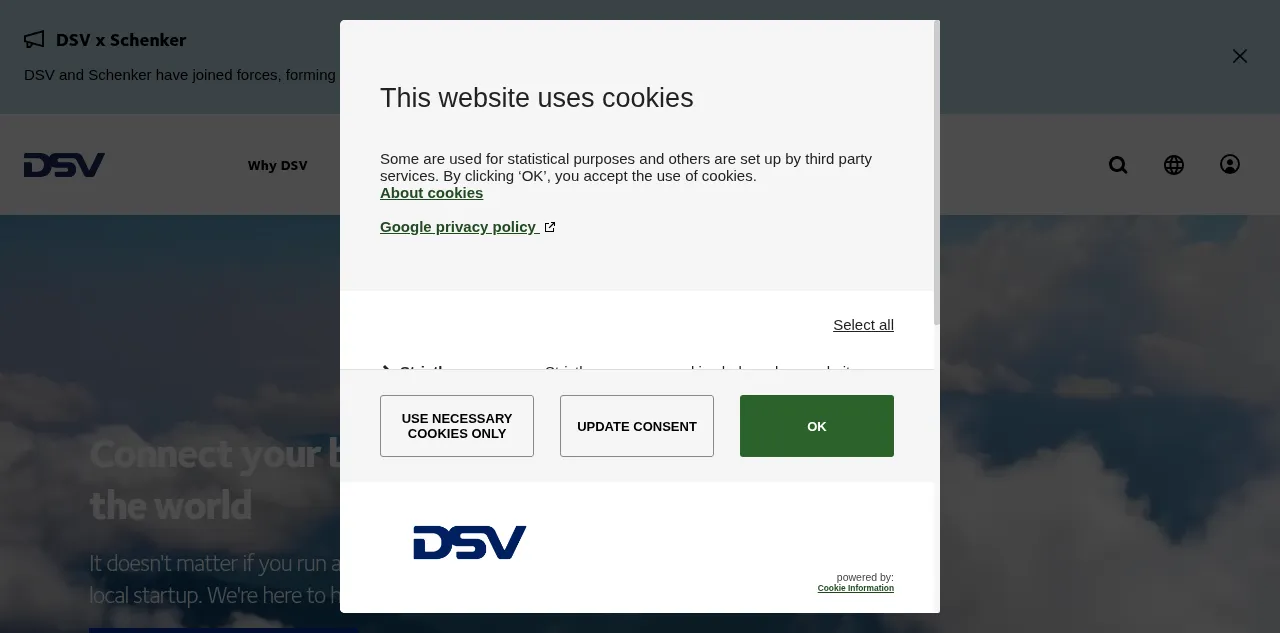 Preview of dsv.com