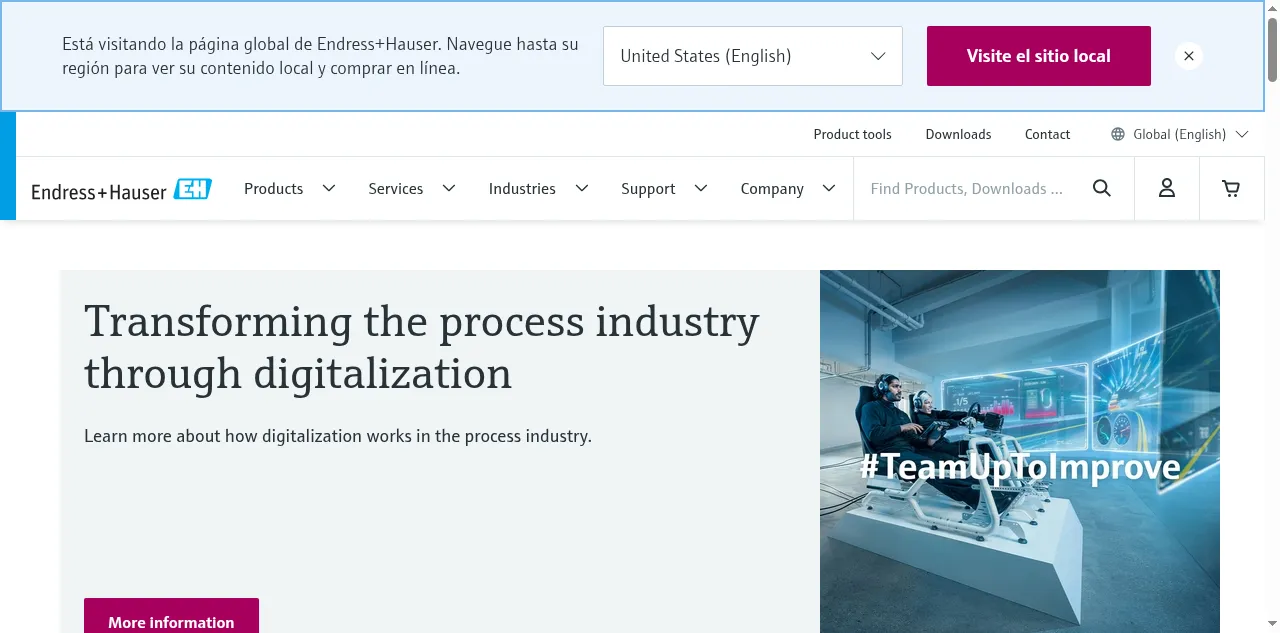 Preview of endress.com