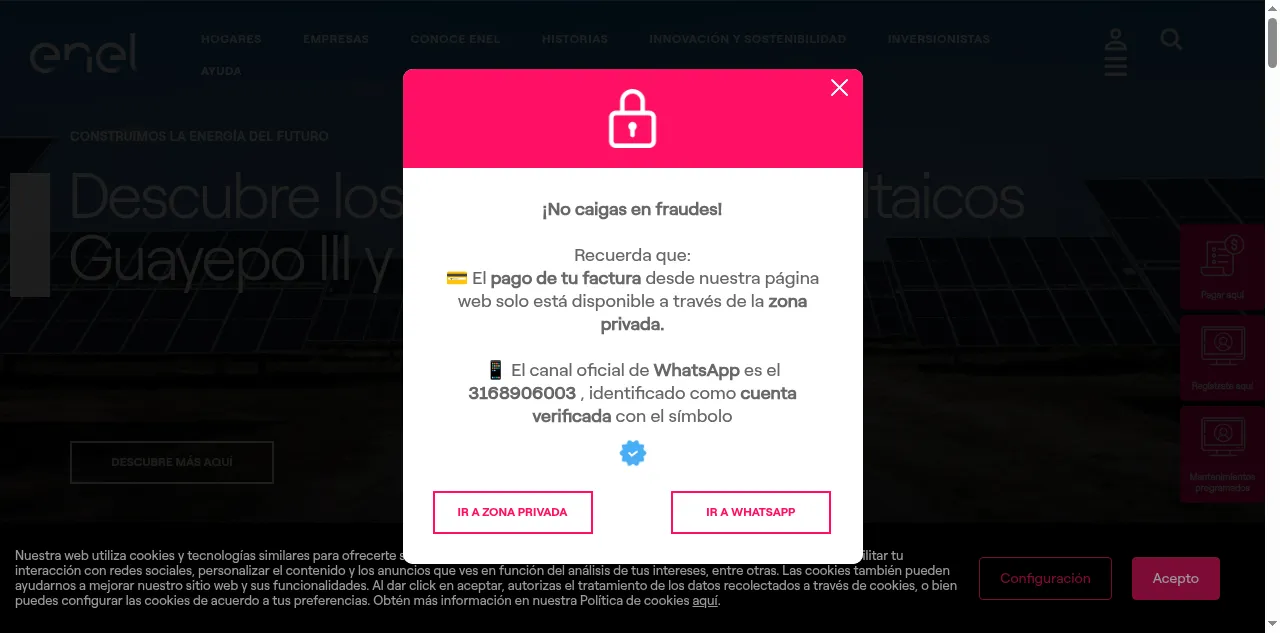 Preview of enel.com.co