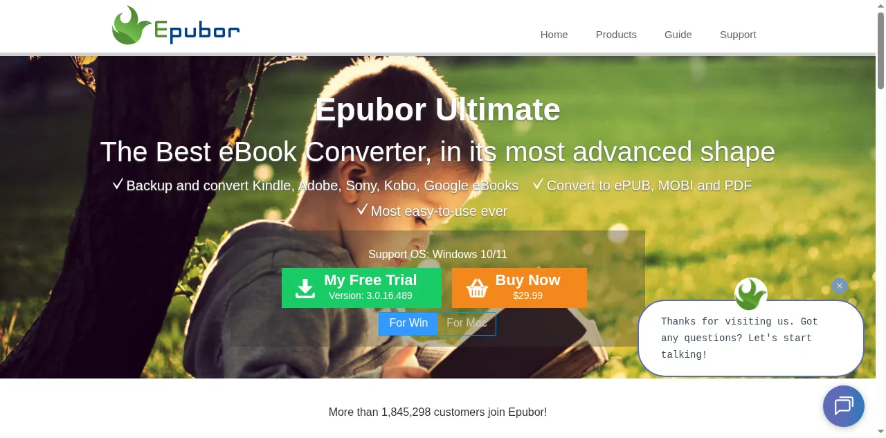 Preview of epubor.com