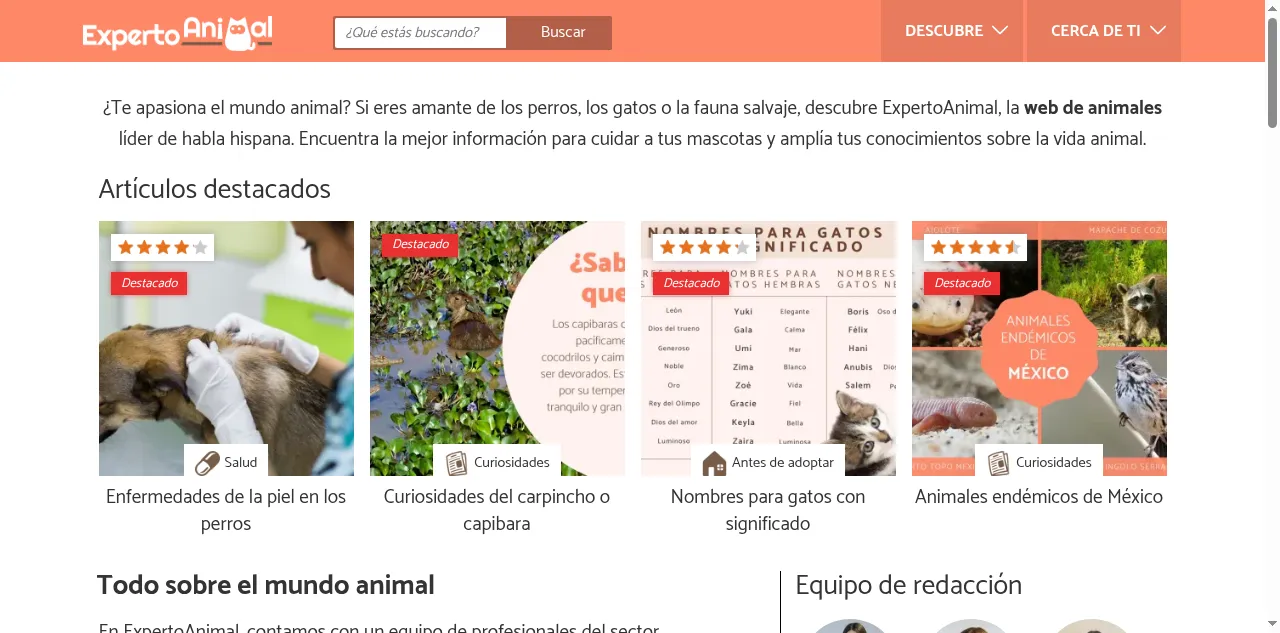 Preview of expertoanimal.com