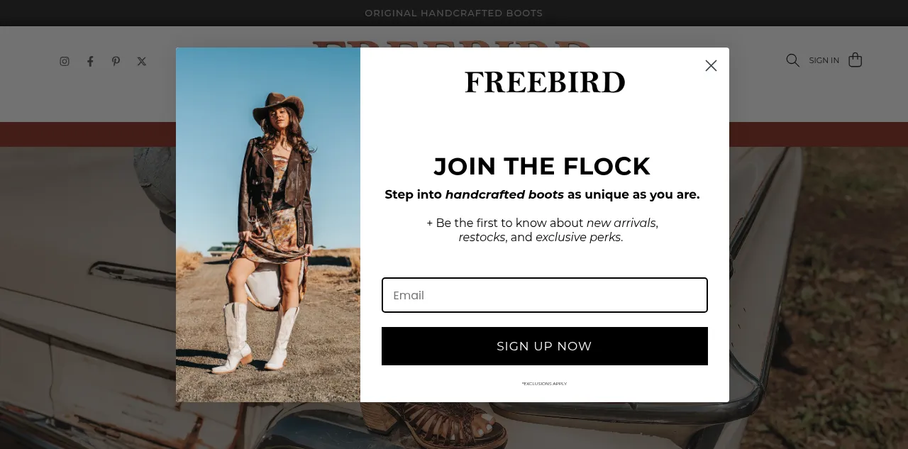 Preview of freebirdstores.com