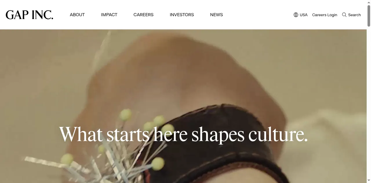 Preview of gapinc.com