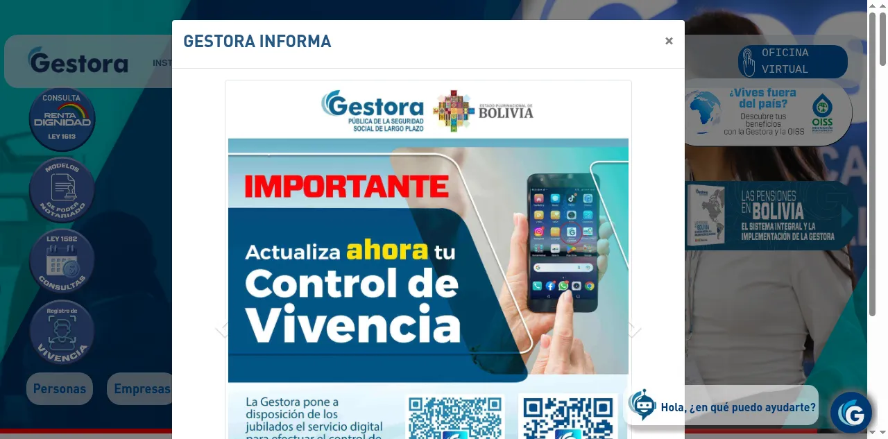 Preview of gestora.bo