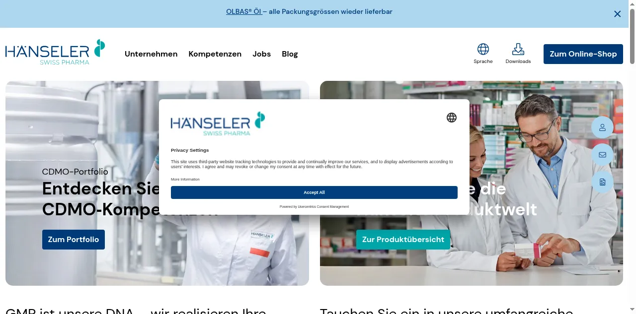 Preview of haenseler.ch
