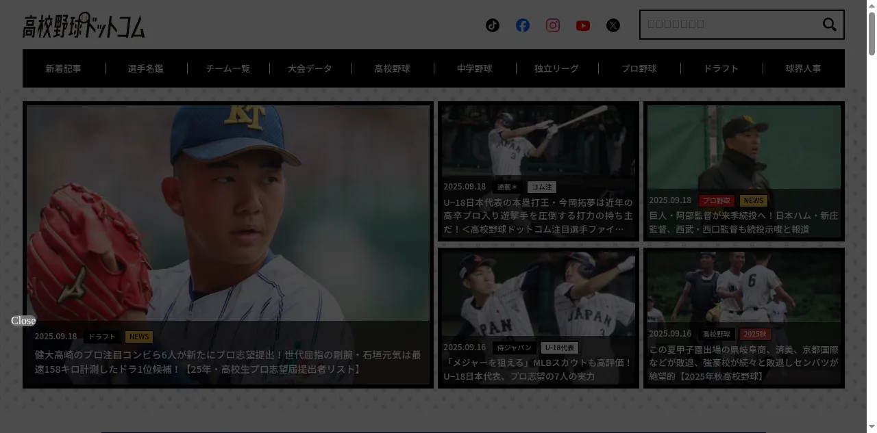 Preview of hb-nippon.com