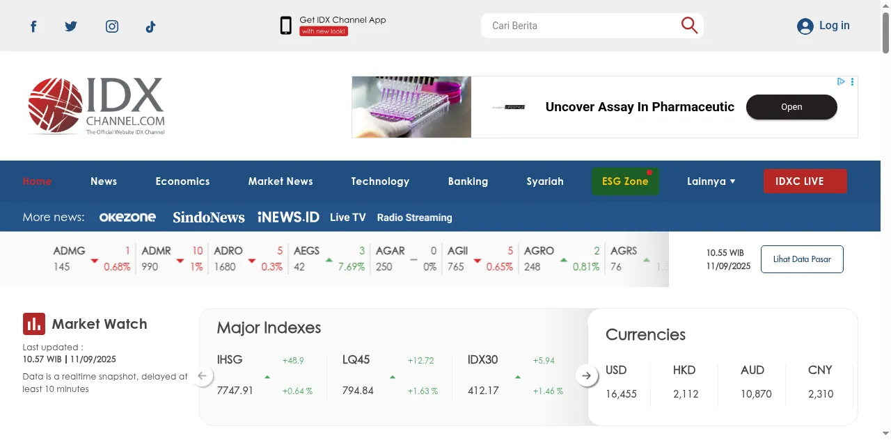 Preview of idxchannel.com