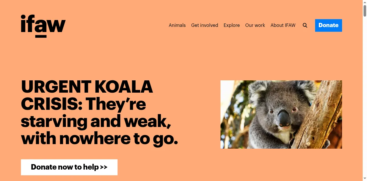 Preview of ifaw.org