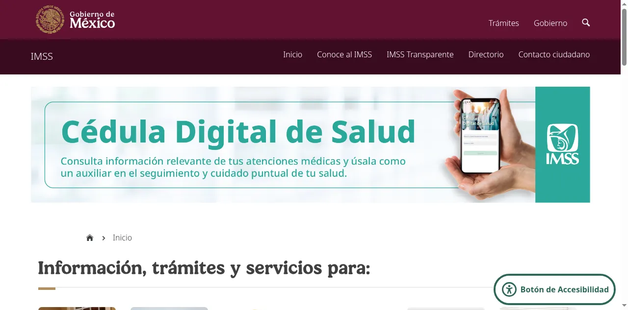 Preview of imss.gob.mx