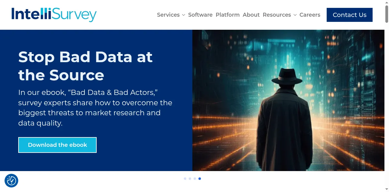 Preview of intellisurvey.com