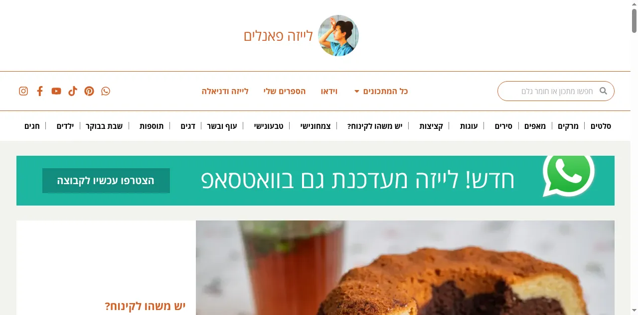 Preview of lizapanelim.com