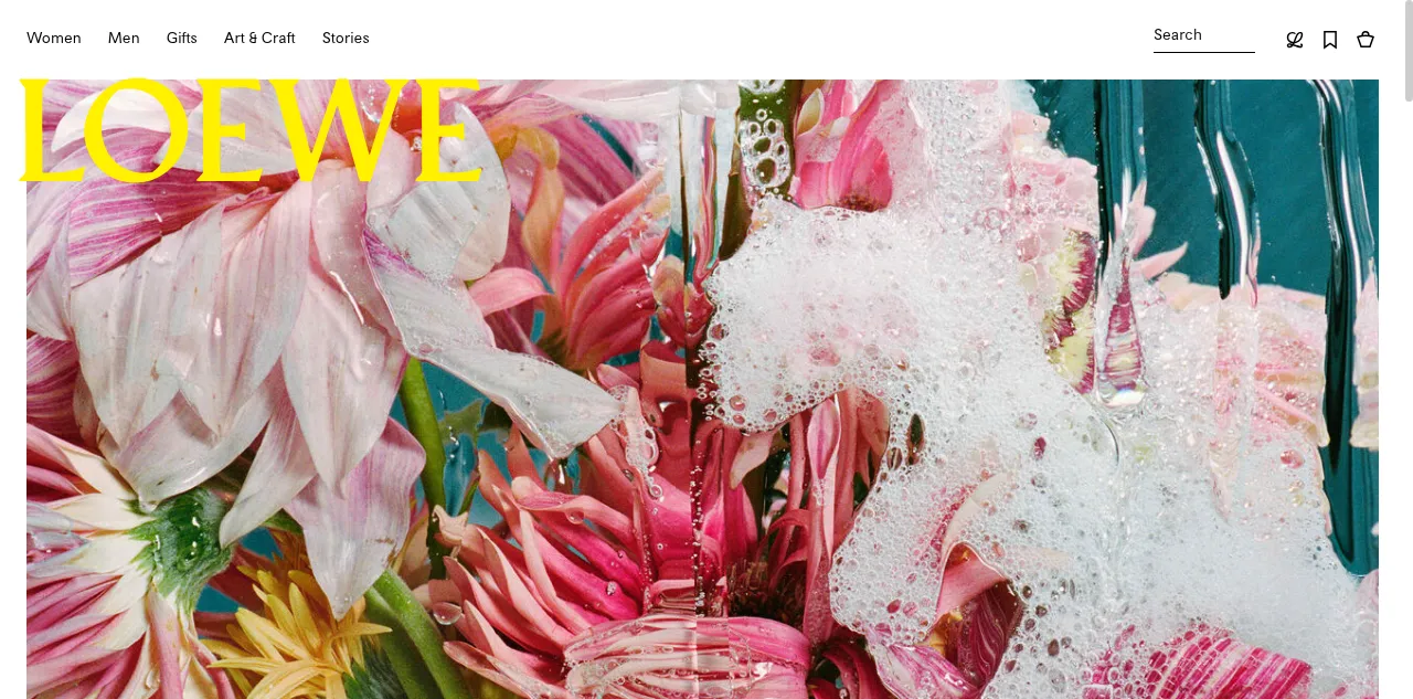 Preview of loewe.com