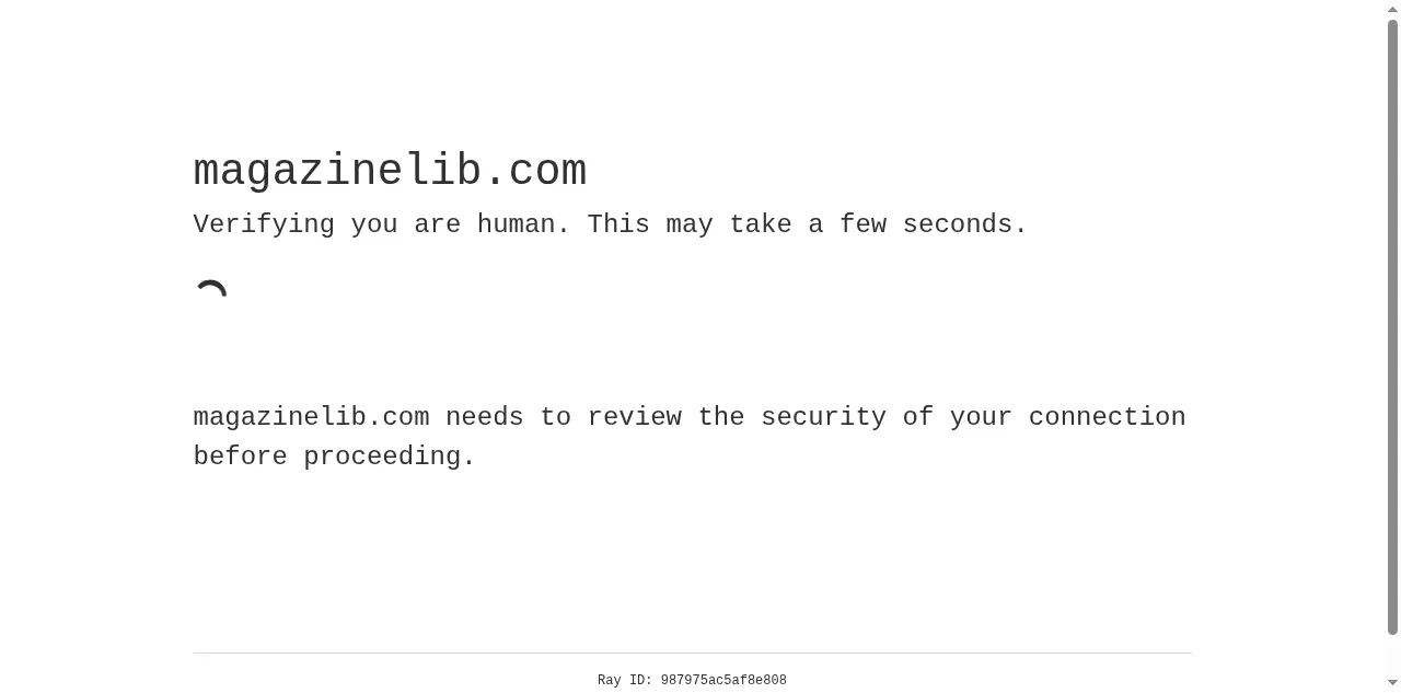 Preview of magazinelib.com