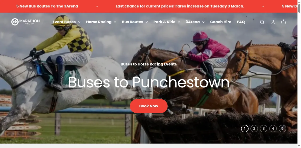 Preview of marathongroup.ie