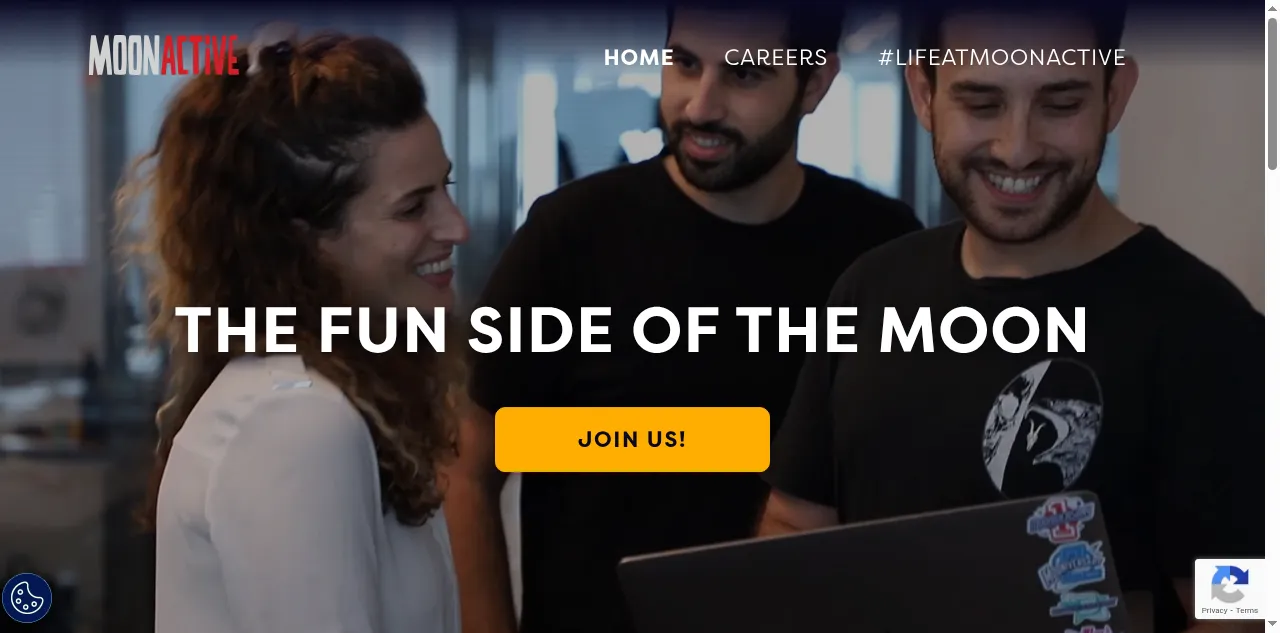 Preview of moonactive.net