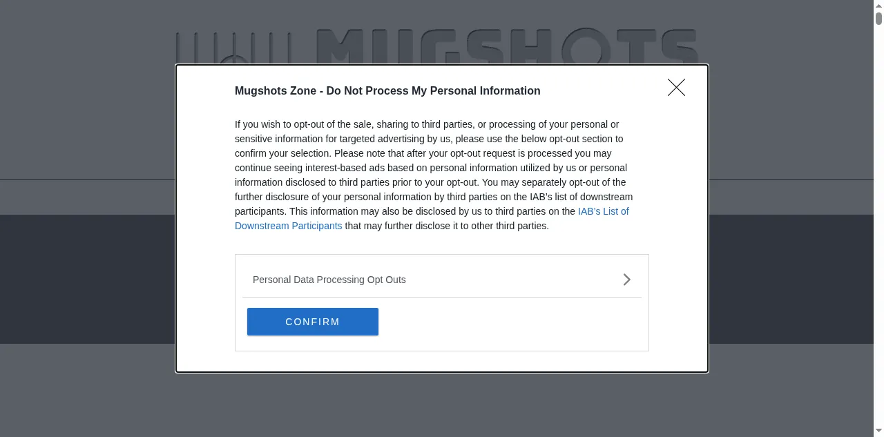 Preview of mugshots.zone