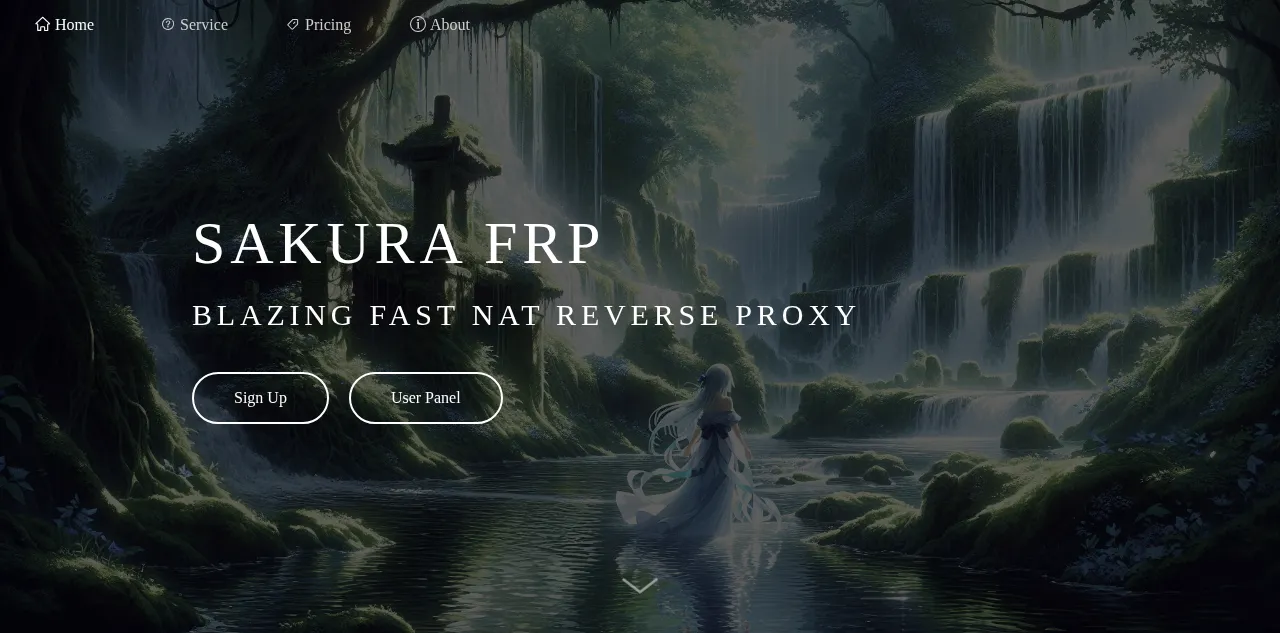 Preview of natfrp.com