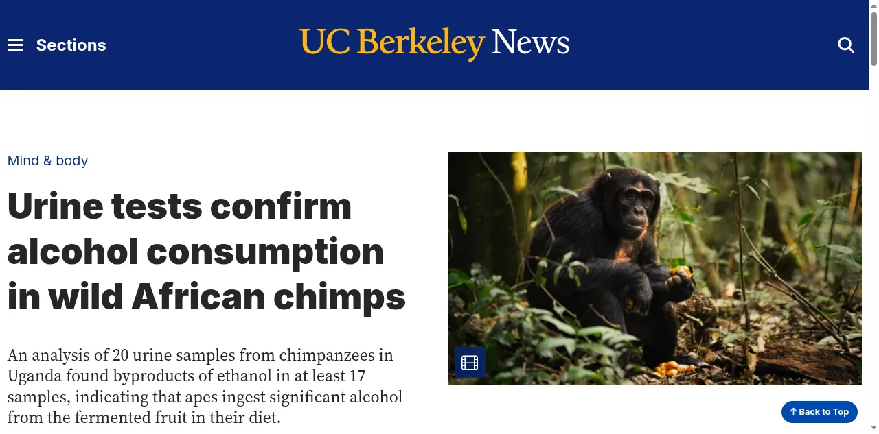 Preview of news.berkeley.edu
