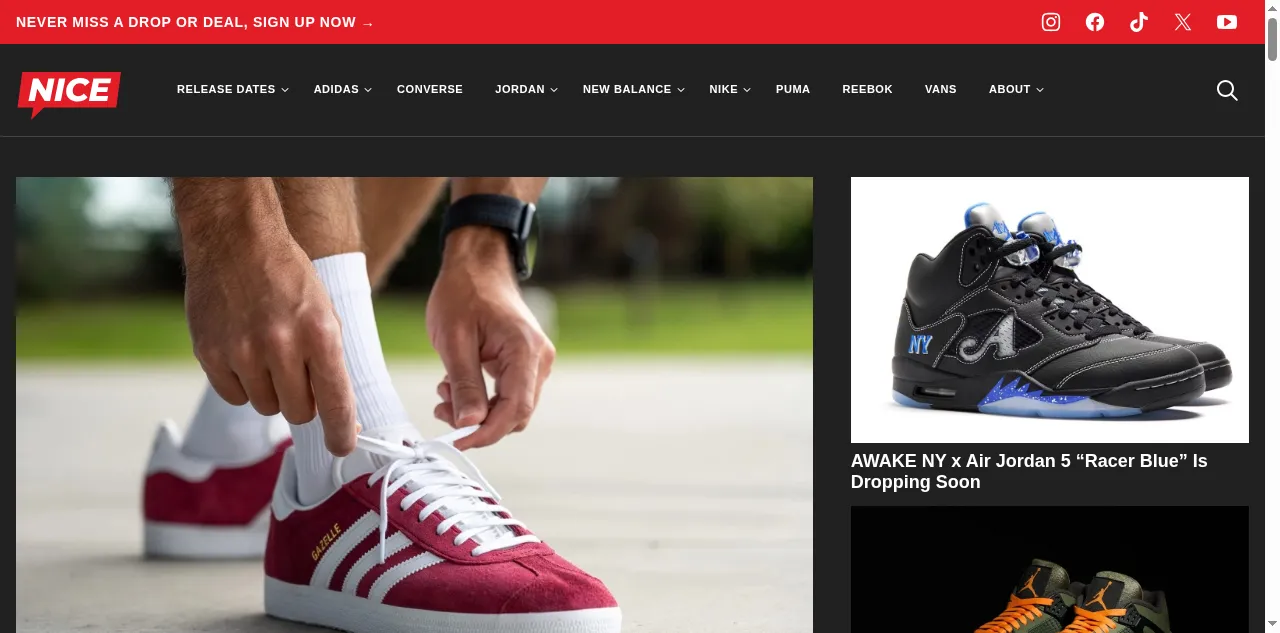 Preview of nicekicks.com