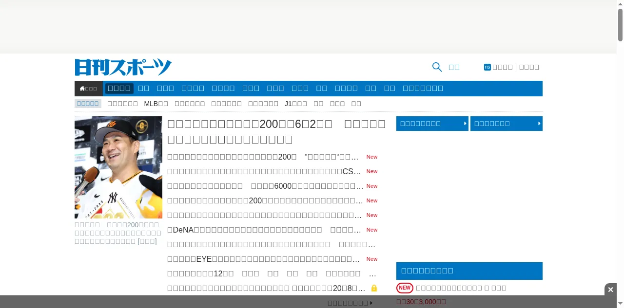 Preview of nikkansports.com