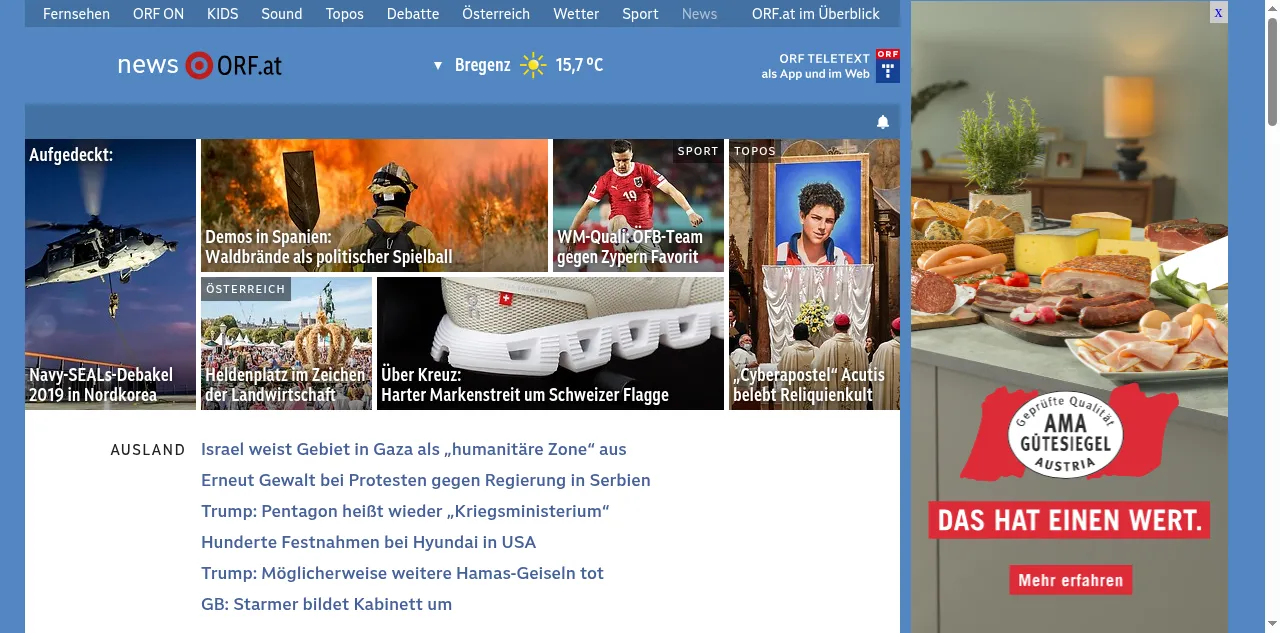 Preview of orf.at