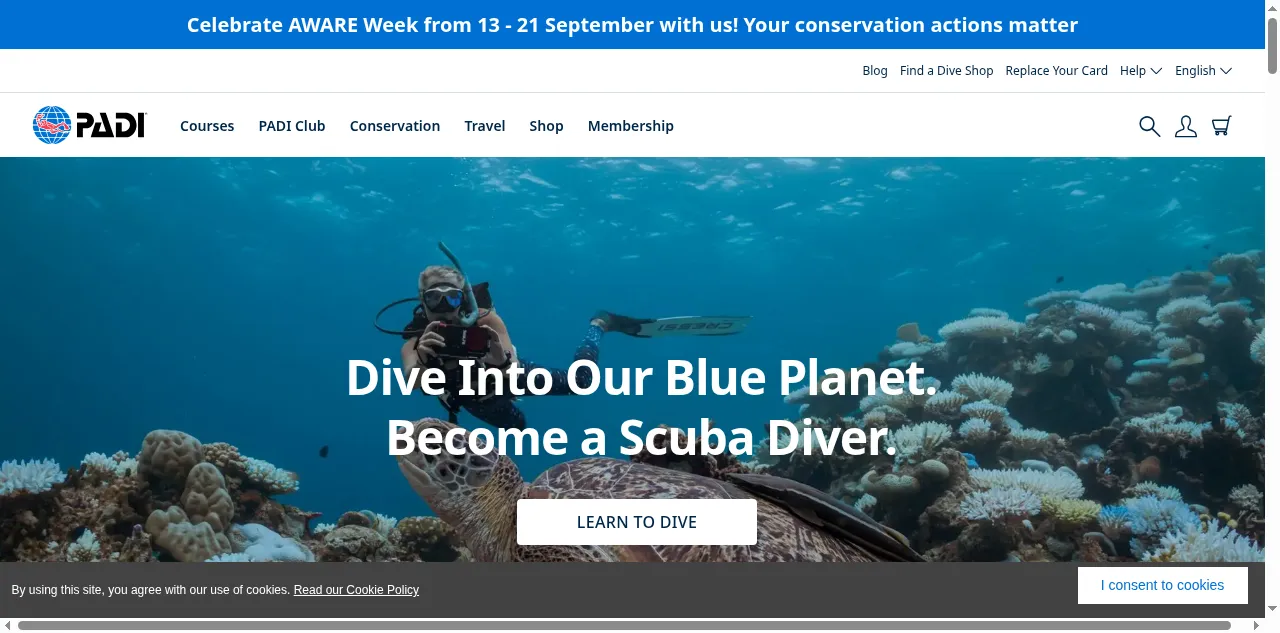 Preview of padi.com