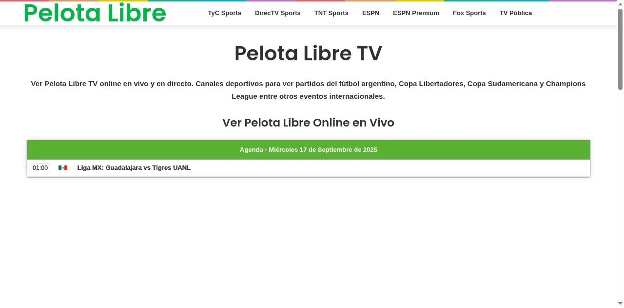 Preview of pelota-libre.net