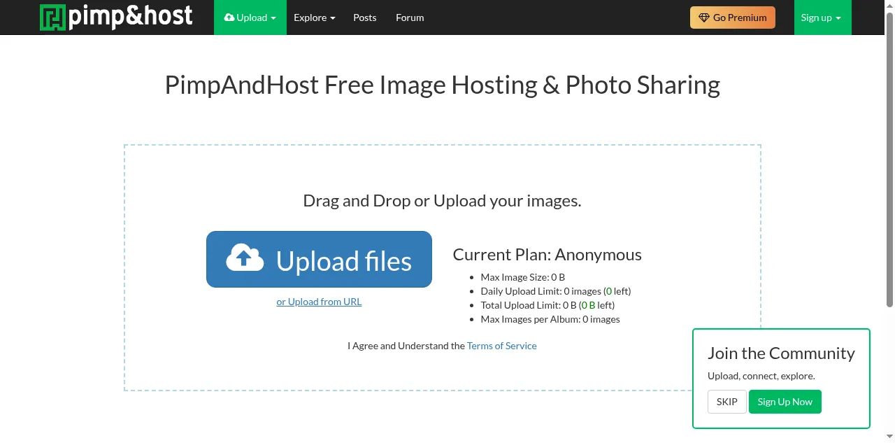 Preview of pimpandhost.com