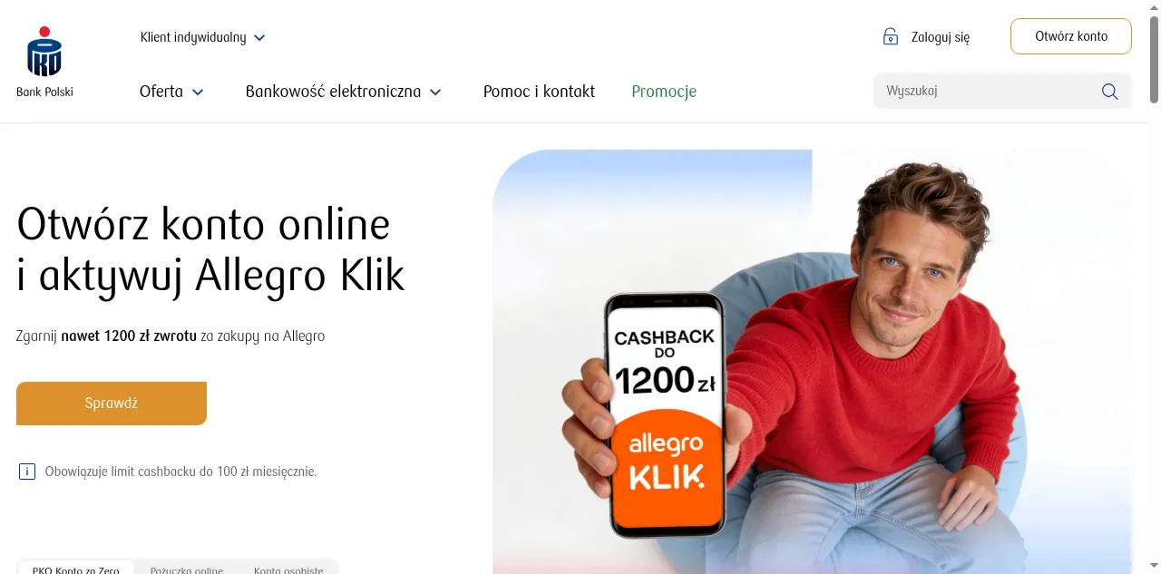 Preview of pkobp.pl