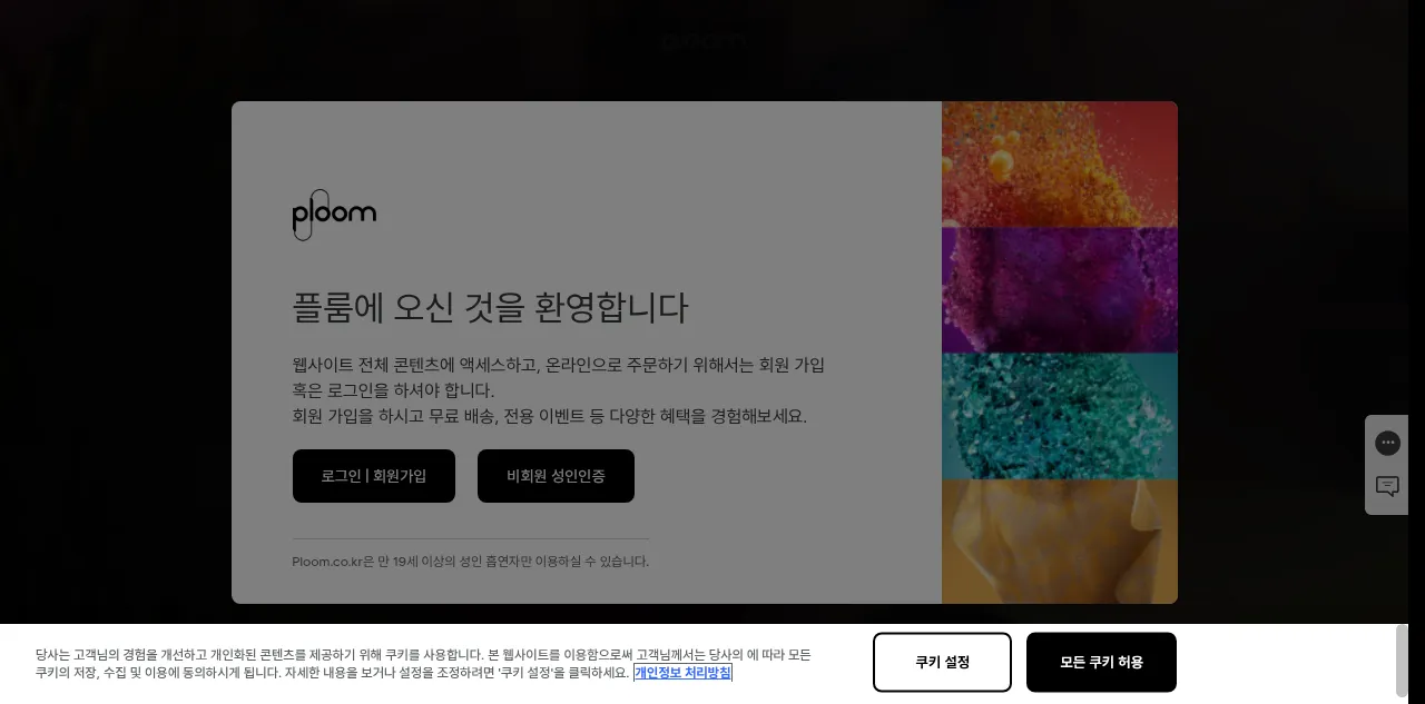 Preview of ploom.co.kr