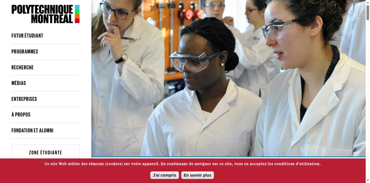 Preview of polymtl.ca